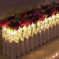 Guirlande Lumineuse LED avec Pinces pour Photos - Éclairage Décoratif -  - 5