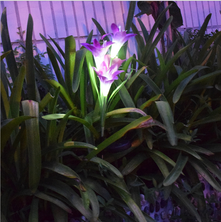Fleurs lampes solaires de d'extérieur jardin -  - 3