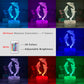 Lampe de Nuit LED 3D Dauphins Contrôle Tactile - NeonMagic✨ néons sur mesure